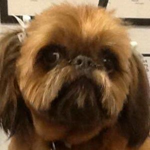 Meet your Posher, Luann